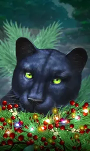 Blue Panther -CE